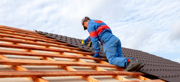 Best Roof Moss and Algae Removal  in Au Sable, MI